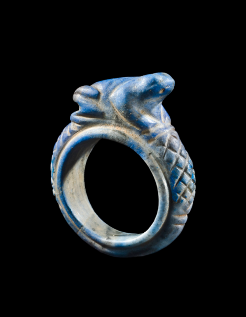 gemma-antiqua:Ancient Egyptian frog ring, dated to the eighteenth to nineteenth dynasties of the New