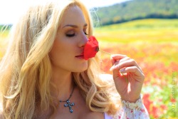 Sbla7295:  Jordan Carverpoppies