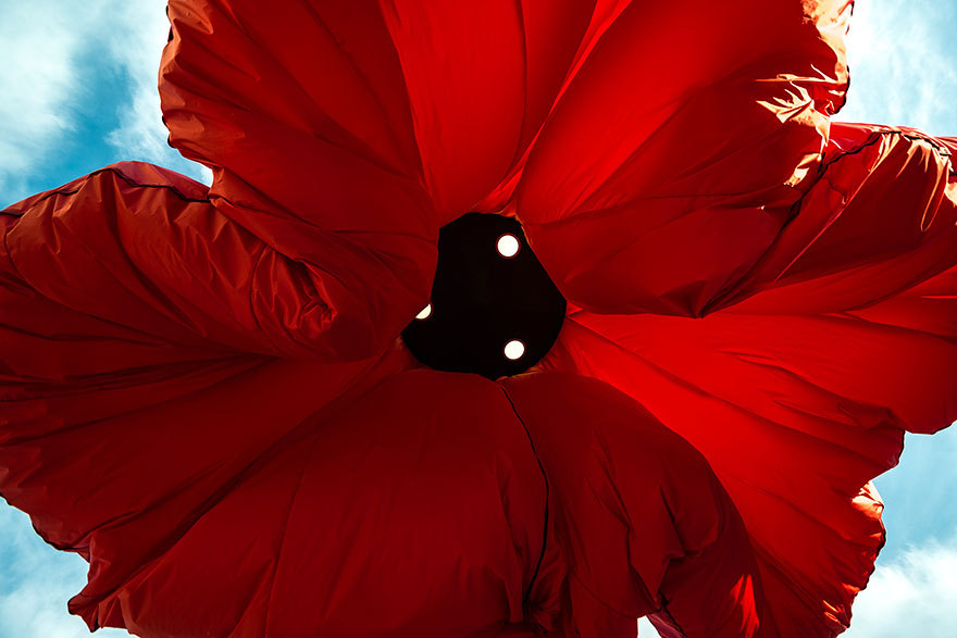 deermom:  boredpanda:    These Flower Lamps Bloom When People Stand Under Them  