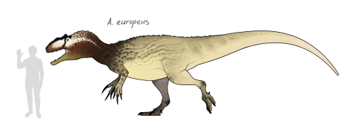 i-draws-dinosaurs: Allosaurus! It’s always been a bit of an underappreciated dinosaur, not bec