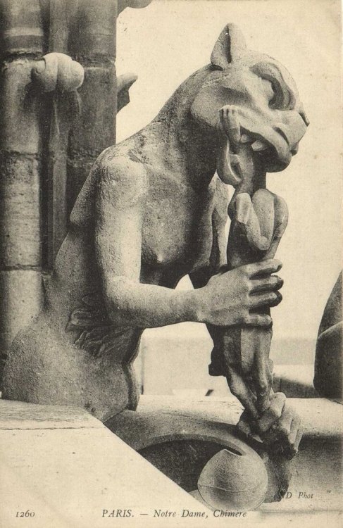 c86:Gargoyles of Notre Dame Cathedral