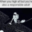 aloofmuffin