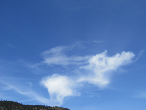 Clouds Leap Free!Apr. 18, 2022Notice how the crafts’ trails cut out where the clouds spiral up