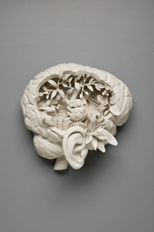 fer1972:  Porcelain Sculptures by Kate MacDowell