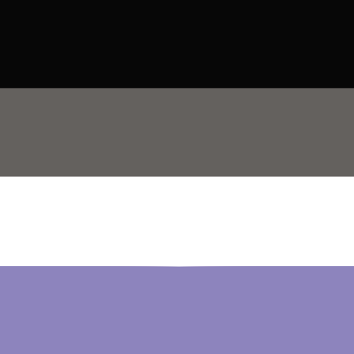 Ace flag but it’s color-picked from The Hero of Twilight (Twilight Princess).