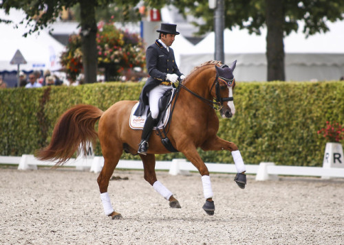 real-geldings-have-curves: CHIO Aachen part 3