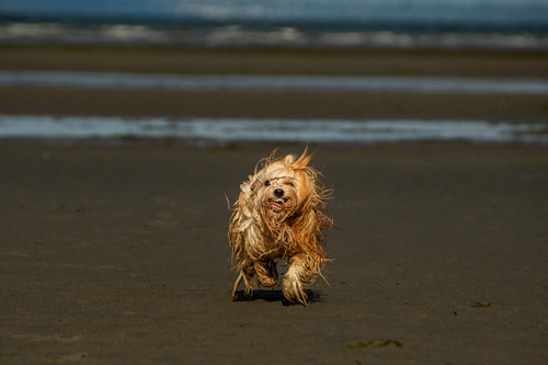 And the final series from Lewis beach adventure. These faces he&rsquo;s making here are too funny n