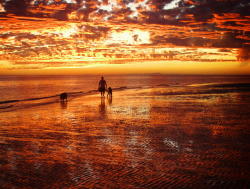 llbwwb:  (via 500px / Walking into the sunset by Cheryl Nestico)