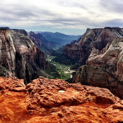 Observation Point Zion National Park Utah Note to self - be sure to check when Utah kids are on spri