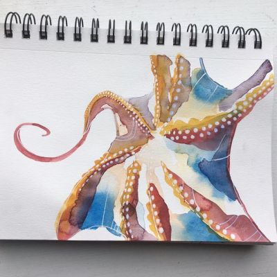 Colors! How do they even work? Trying, ever so slowly, to incorporate more color in my octopuses.
Originally posted May 13, 2017.
#octopus #octopusaday #painting #watercolor #tentacles #art #colors