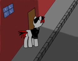 askjeffthekillerp0ny:  Shadow stood on the other side of the street, staring at the building of the royal court. He still wasn´t sure why he did this, why he came here. It was like he was attending to his own funeral. He knew there was no way out this