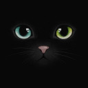 Quartet Night Live Future 18 Live Backstage Quartet Night Live Future 18 Live Backstage
