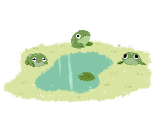 frogs and toads