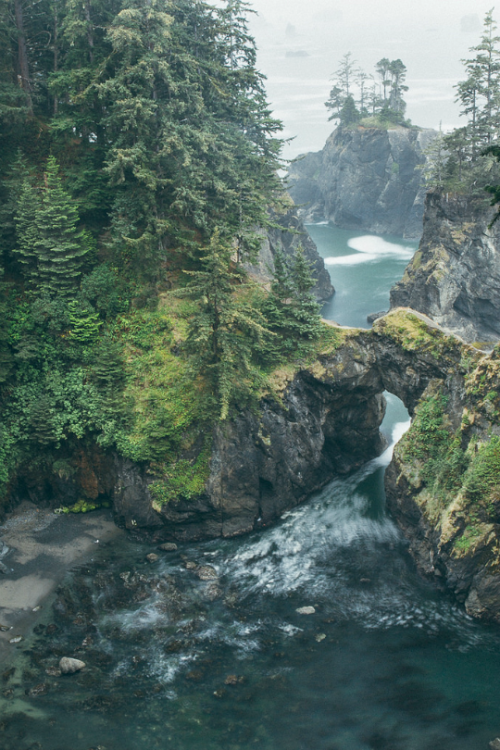 expressions-of-nature: Oregon Coast by Maryanne Gobble