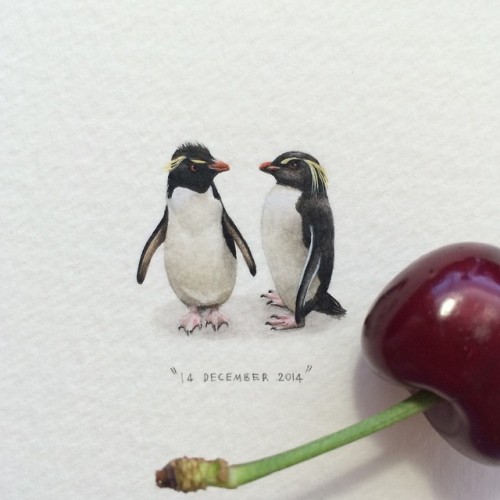asylum-art-2:  Miniature Watercolor Painting of  Lorraine Loots   					 					 					 				The miniature paintings of the South African artist Lorraine Loots, who for her 365 Postcards for Ants project  decided to create a miniature painting a day for