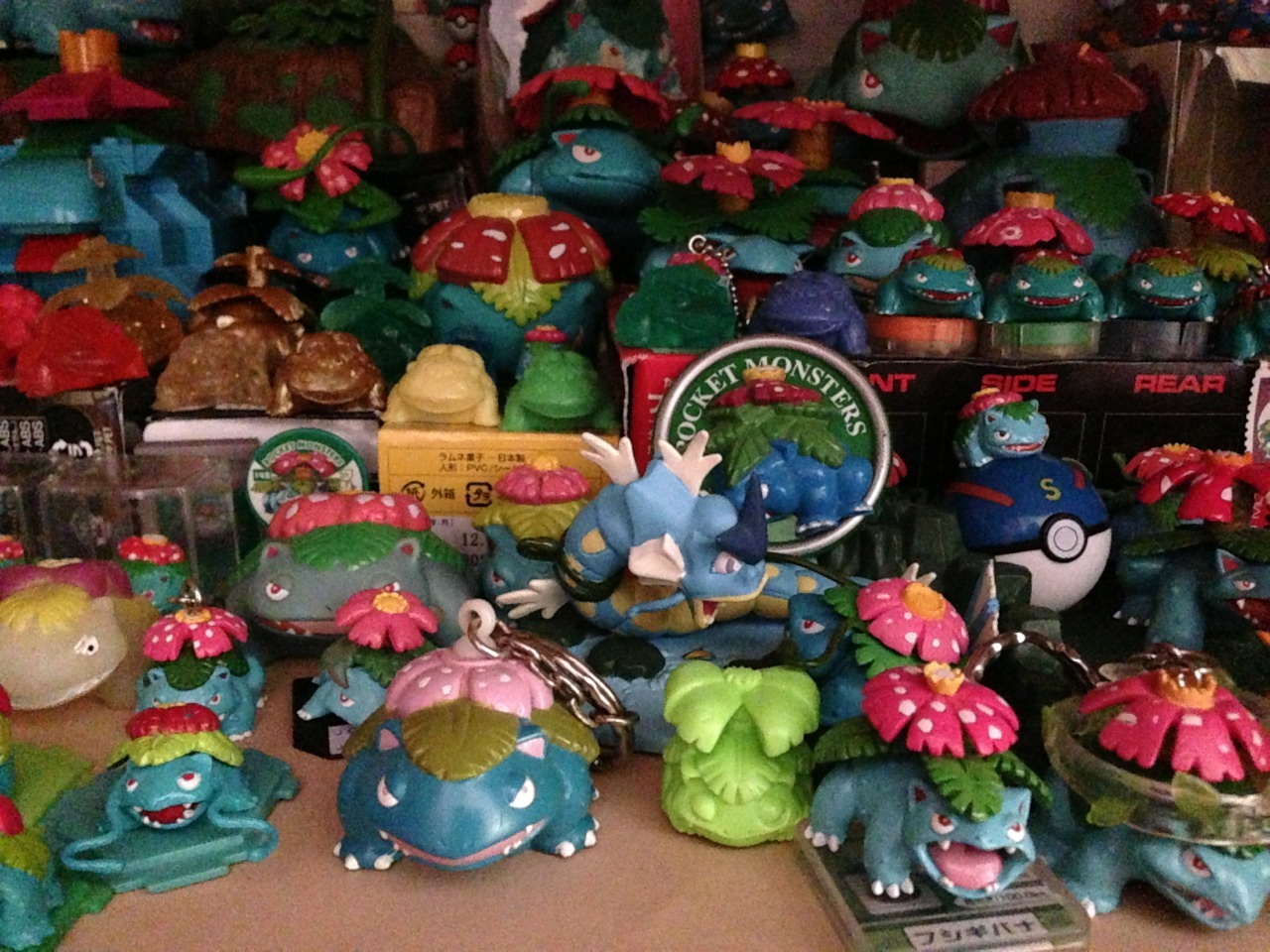 pannsie:  Fun fact: I am in possession of a few Venusaurs. 