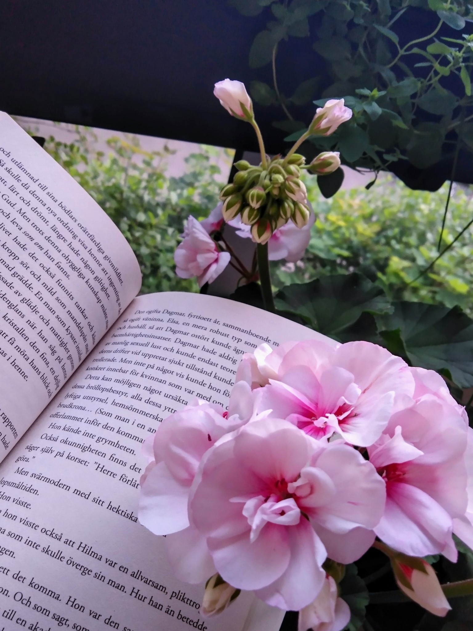 Nothing as cozy as reading and listening to the rain undr a blanket 