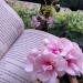 Nothing as cozy as reading and listening to the rain undr a blanket 