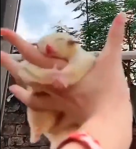 rrrokamoka:iamfoffi:me when i get to hug friends
