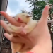 rrrokamoka:iamfoffi:me when i get to hug friends