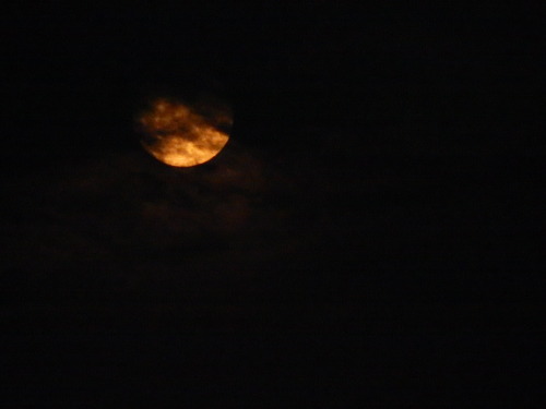 fuckyeahphysica:Supermoon Lunar Eclipse.I decided to snap a few pictures of the moon before the big 
