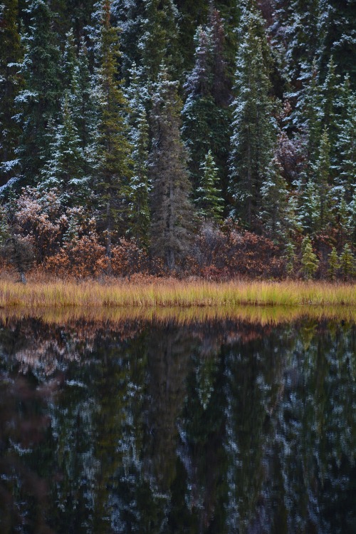 naturesome: Winters Mirror - By: Erika H.