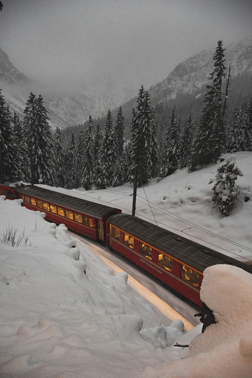 ursbornhauser: Typical swiss trainride… See more like this.