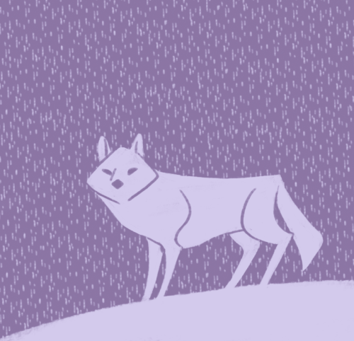 isthatwhatyoumint: the wolf