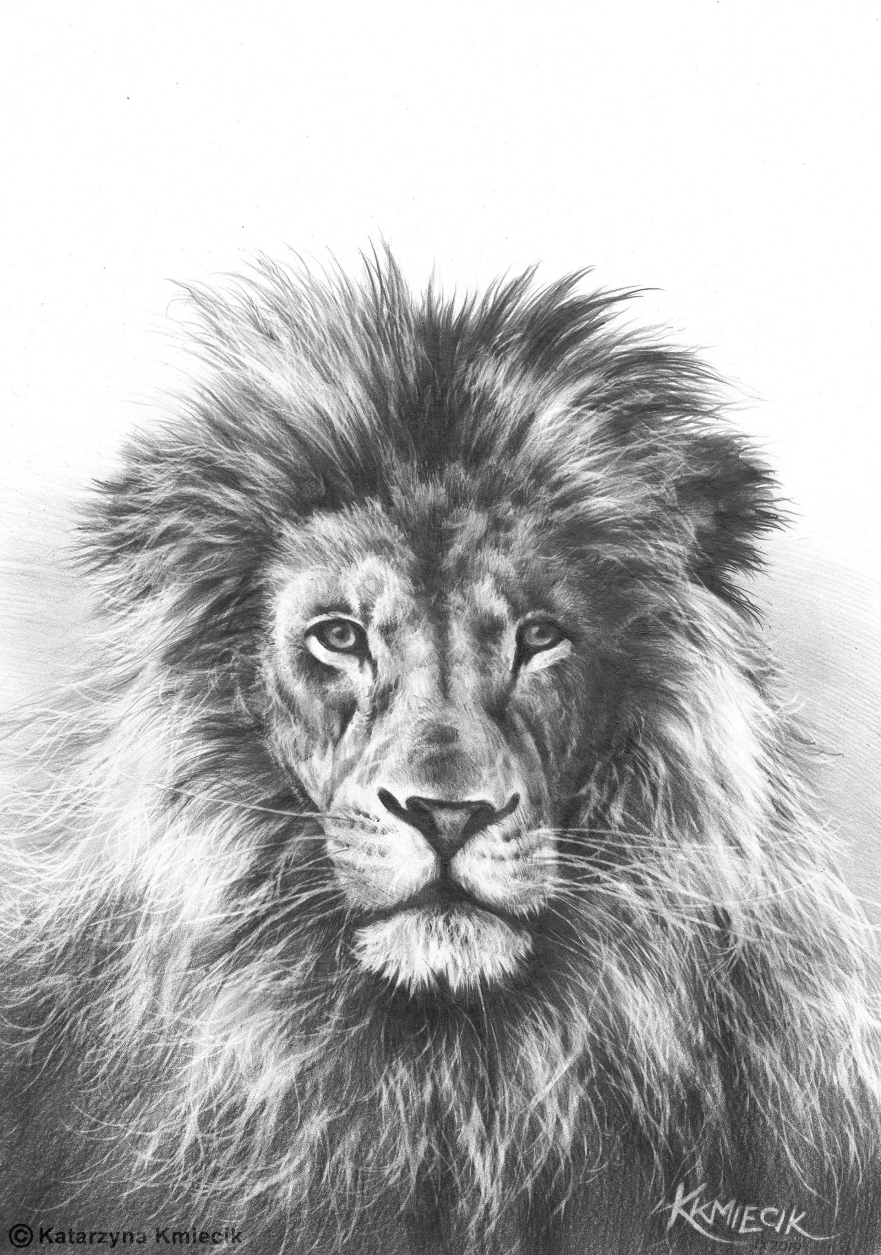 I've made this pencil drawing of a lion as a... - KATARZYNA KMIECIK