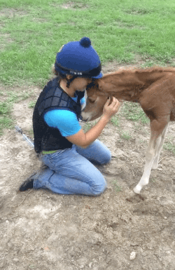disgustinganimals:  princess-peachie:  gifsboom:  Baby Horse Insists on Cuddling