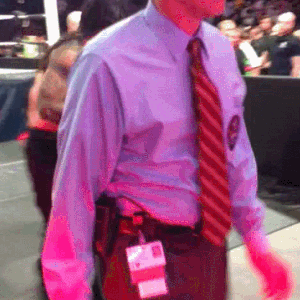 houndsofhotness:  Aftermath of the Shield break-up. X