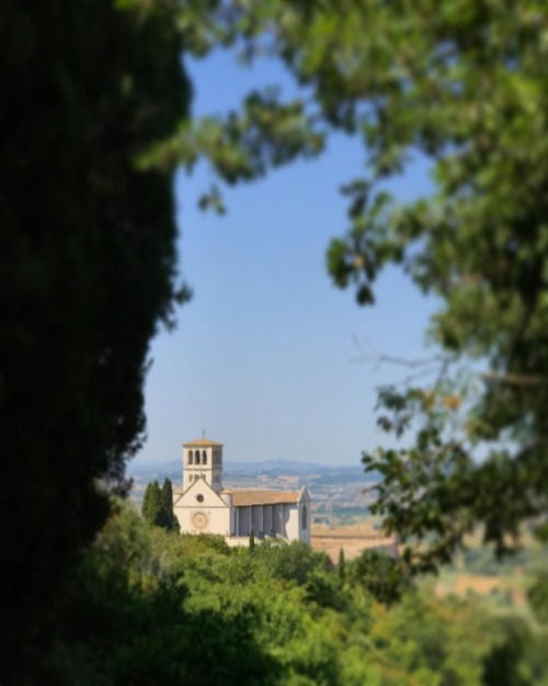 The Basilica of San Francesco. ~~~ This August come take a workshop in Assisi. Link in profile. # @c