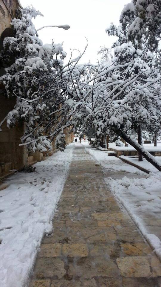 tamarrud:Al Aqsa this morning covered in snow and looking as majestic as ever