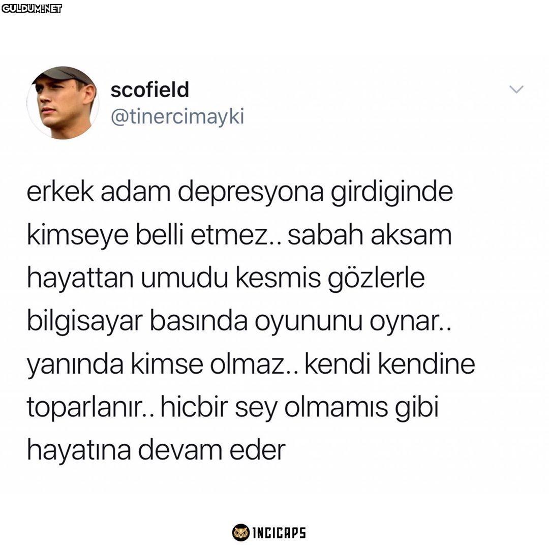 Net budur scofield...