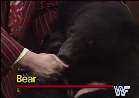 constable-connor:  thefunkyweapon: That bears health bar is huge  Tough boss battle.
