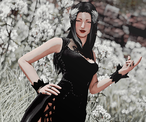 sweetbloompier