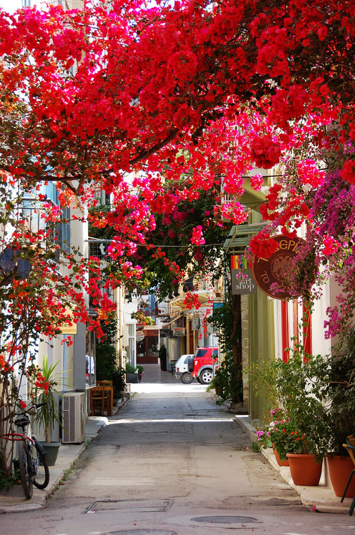 boredpanda:15+ Of The World’s Most Magical Streets Shaded By Flowers And Trees