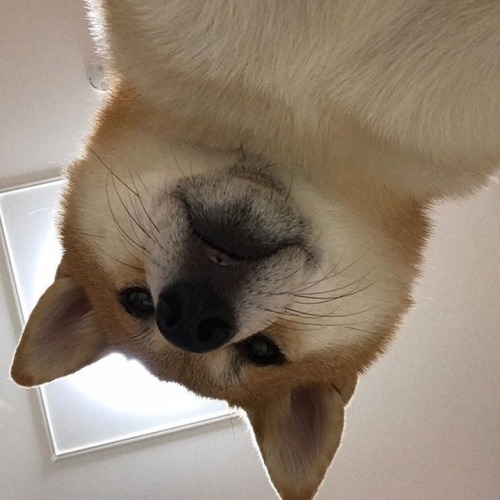 Well hello…