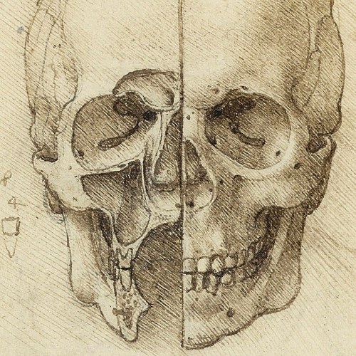 detailedart:Details of studies by Leonardo da Vinci