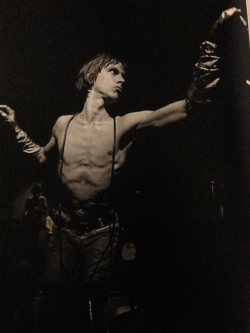 icky-pop: Iggy Pop