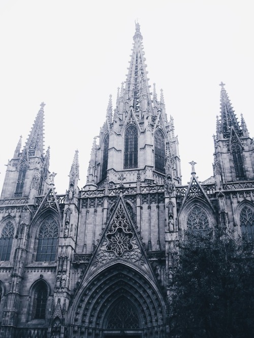 Barcelona Cathedral (Cathedral of the Holy Cross and Santa Eulalia)