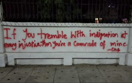 “If you tremble with indignation at every injustice, then you are a comrade of mine” - C