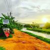 #sunset #mudroad #punchakkari #kerala #rideout #cyclinglife #toddy #toddyshop (at Punchakari Toddy Shop)https://www.instagram.com/p/CRgQHEmAKch/?utm_medium=tumblr