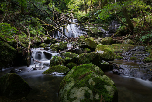 Mt.Nagi / Okayama by Kashinkoji