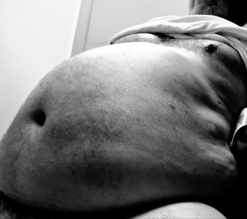 Black And White Obese Hog