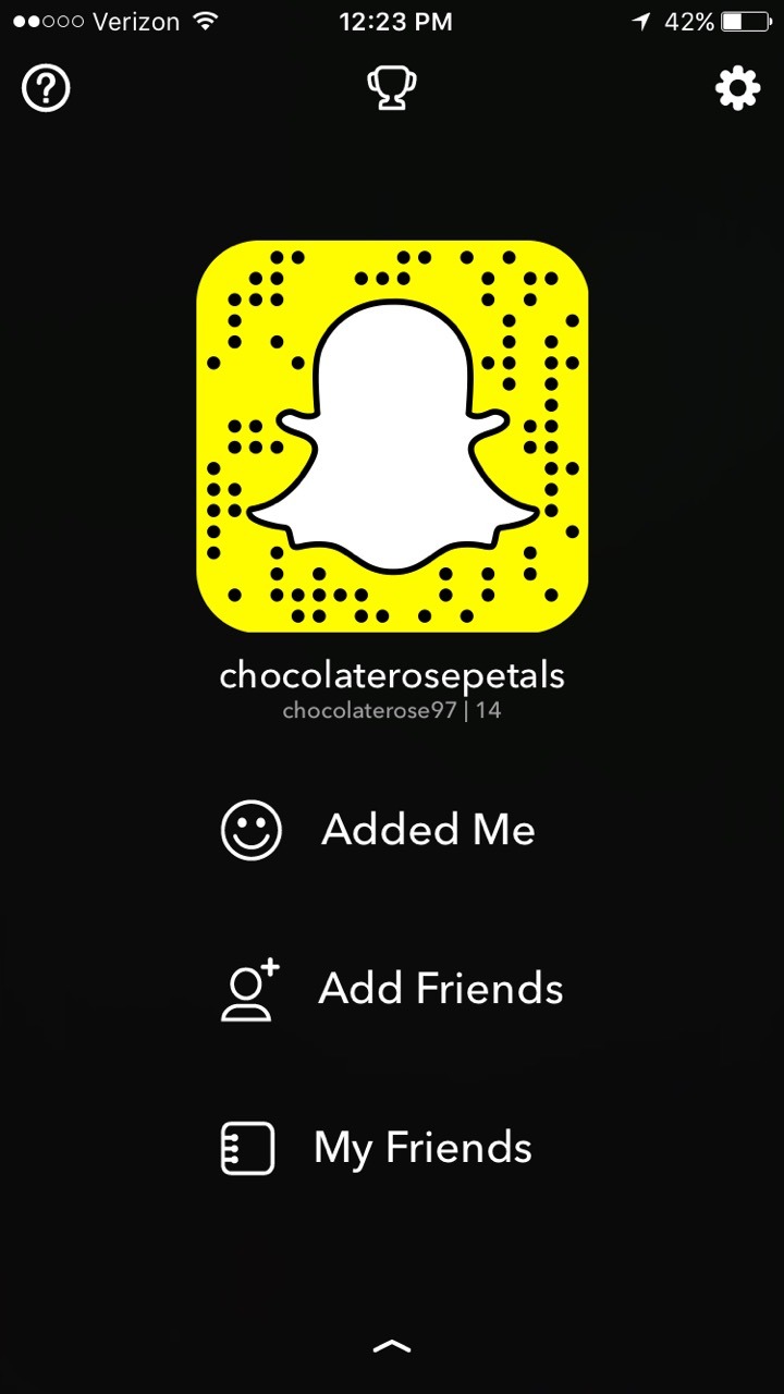 chocolaterosepetals:  soooo you should buy my snapchat$19 one time purchase✨Email