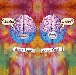 where is my mind?﻿