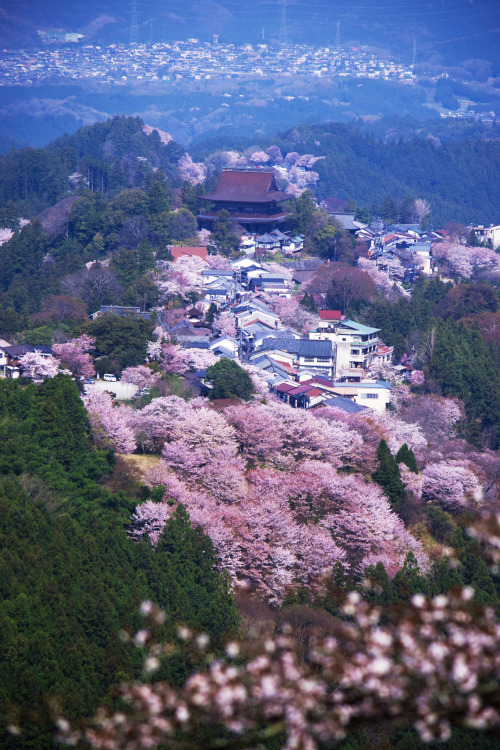 Mt Yoshino - Nara, Japan