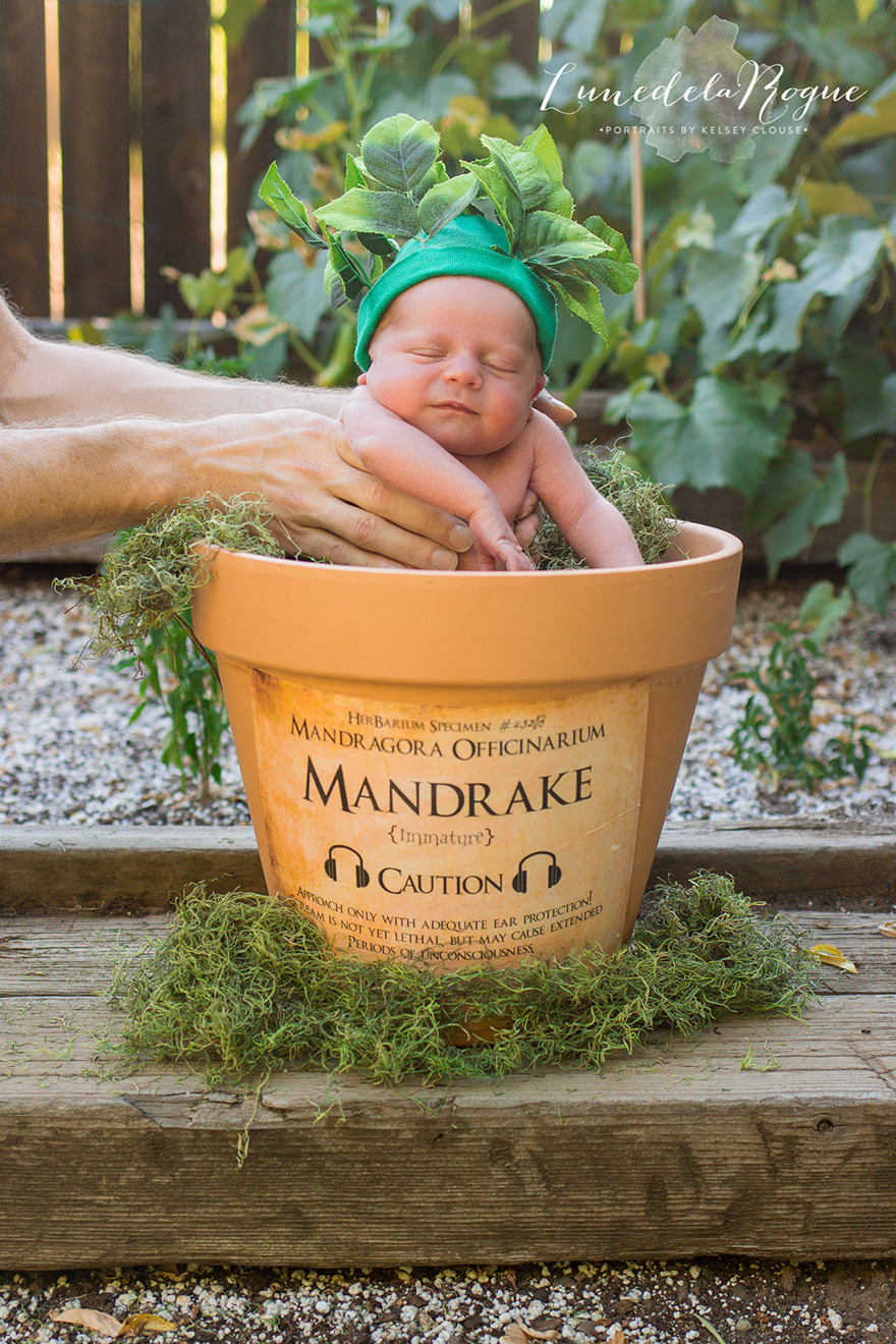 geribby:  sixpenceee:  Jesse and Katherine Oldfield of Eugene, Oregon are huge Harry