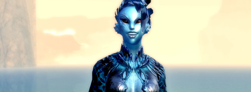 tyriantourist:  Termina Caprice, my homicidal maniac Sylvari Theif is finally at 80!